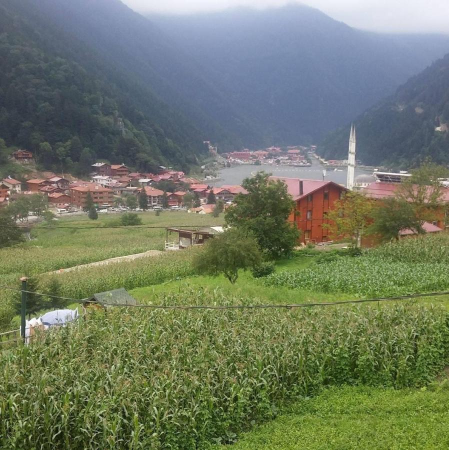 Aparthotel Zeren Bungalov à Uzungöl Extérieur photo