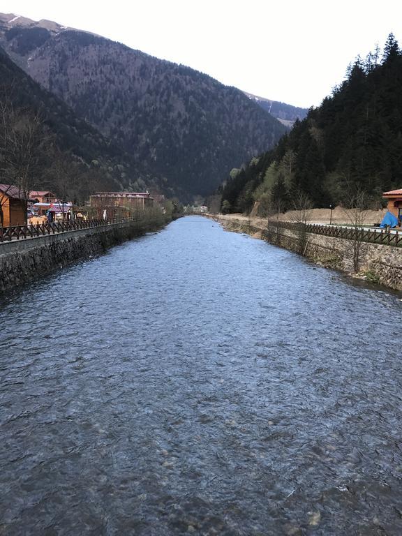 Aparthotel Zeren Bungalov à Uzungöl Extérieur photo