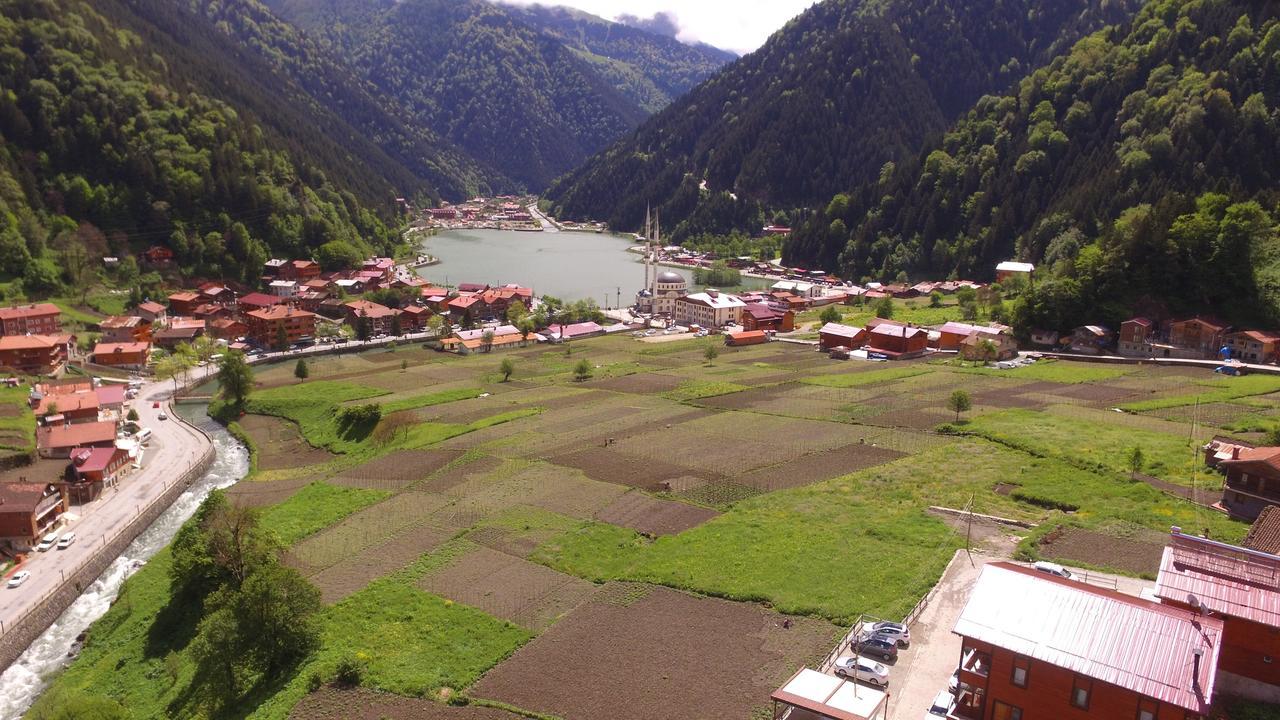 Aparthotel Zeren Bungalov à Uzungöl Extérieur photo