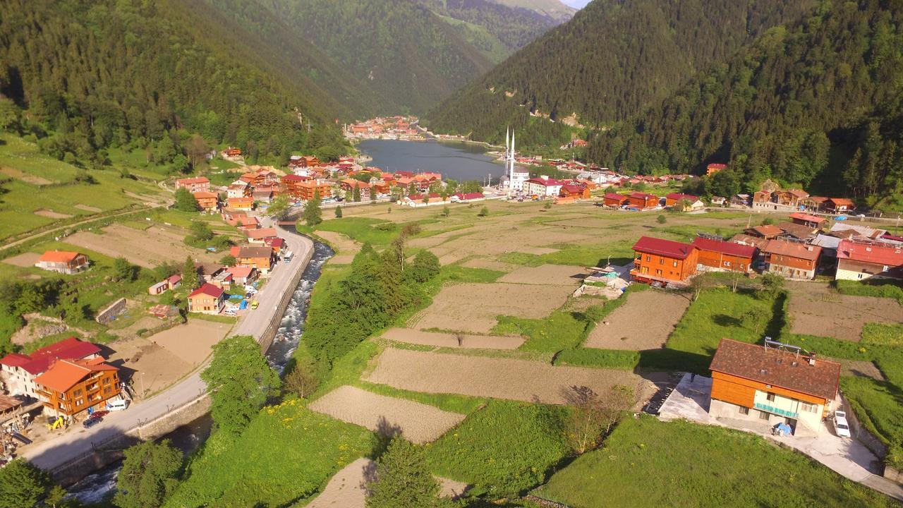 Aparthotel Zeren Bungalov à Uzungöl Extérieur photo